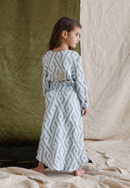 Blue Bo Printed Dress