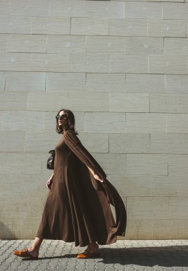 Brown Dress