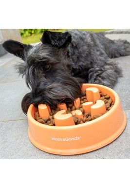 InnovaGoods Slow Eating Food Bowl for Pets