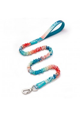 Bungee Dog Leash Manufacturer 115 × 175 × 2 Cm