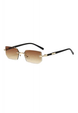 Brown Sunglases