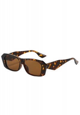 Brown Sunglases
